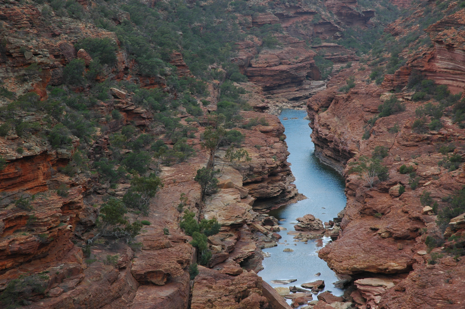 Landscape